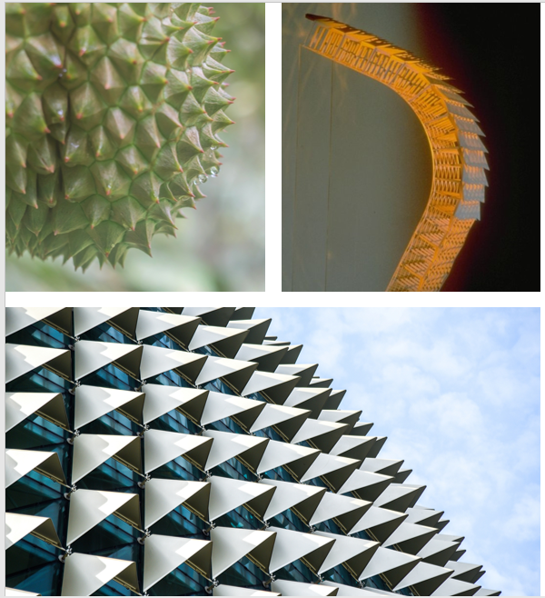 Durian and leave image for The Esplanade