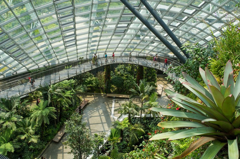 Gardens by the Bay interior 1